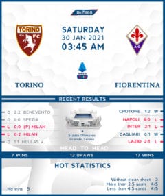 Torino vs Fiorentina 30/01/21